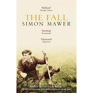 The Fall - Mawer Simon