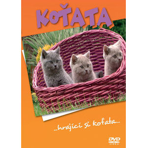 Koťata - DVD - neuveden