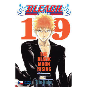 Bleach 19: Black Moon Rising - Kubo Tite