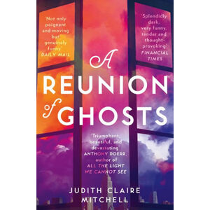 A Reunion of Ghosts - Mitchell Judith Clare