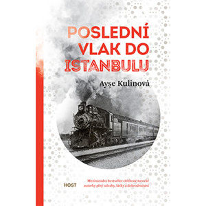 Poslední vlak do Istanbulu - Kulinová Ayse