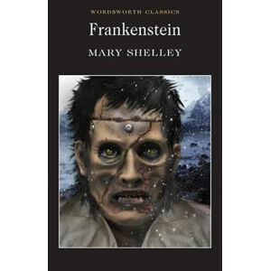 Frankenstein (anglicky) - Shelley Mary