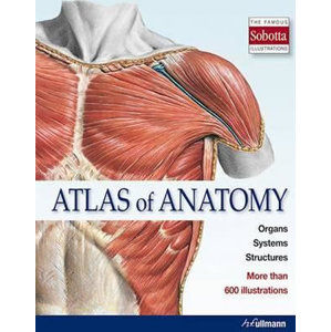 Atlas of Anatomy : The Human Body Described in 13 Systems - kolektiv