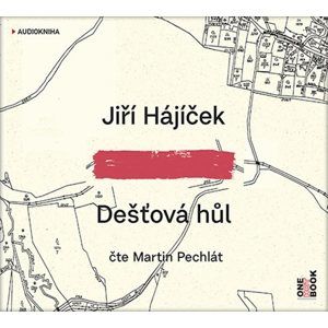 CD Dešťová hůl - CDmp3 - Hájíček Jiří