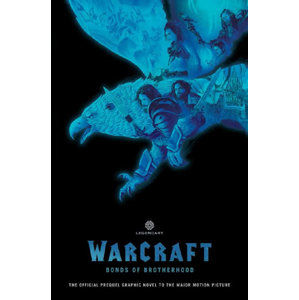 World of Warcraft - Pouta bratrství - Chris Metzen, Paul Cornell, Mat Broome