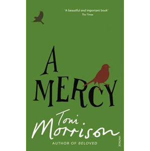 A Mercy - Morrisonová Toni