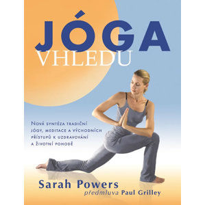 Jóga vhledu - Nová syntéza tradiční jógy, meditace a východních přístupů k uzdravování a životní poh - Powers Sarah
