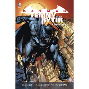 Batman: Temný rytíř 1 - Temné děsy - Finch David