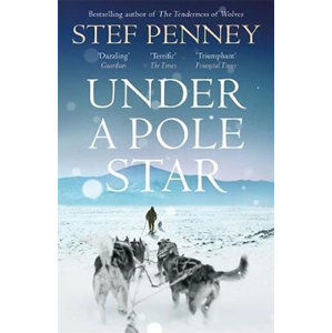 Under a Pole Star - Penney Stef