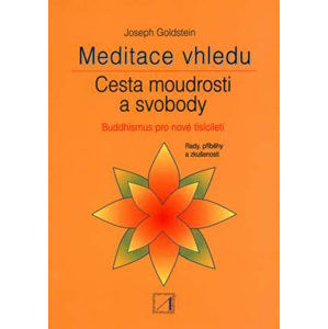 Meditace vhledu - Cesta moudrosti a svobody - Goldstein Joseph