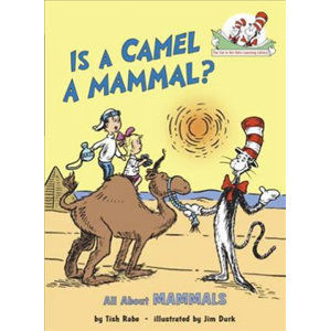 Is a Camel a Mammal? All About Mammals - Rabe Tish