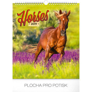 Kalendář nástěnný 2019 - Koně, 30 x 34 cm - neuveden