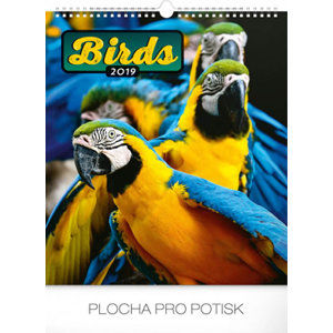 Kalendář nástěnný 2019 - Ptáci, 30 x 34 cm - neuveden