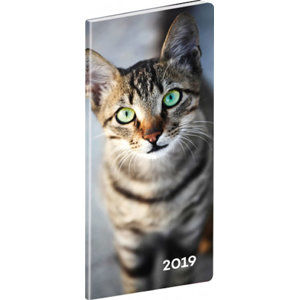 Diář 2019 - Kočky - kapesní, plánovací měsíční, 8 x 18 cm - neuveden