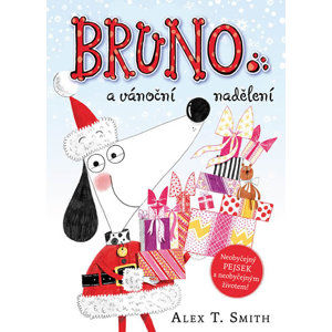 Bruno a vánoční nadělení - Smith Alex T.