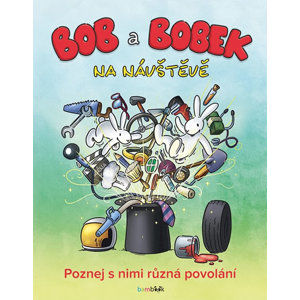 Bob a Bobek na návštěvě - Poznej s nimi různá povolání - kolektiv autorů, Adam Libor