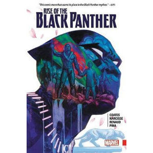 Rise Of The Black Panther - Narcisse Evan