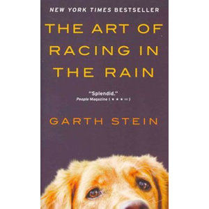 The Art of Racing in the Rain - Stein Garth