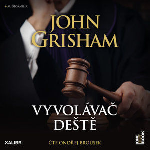 Vyvolávač deště - 2 CDmp3 - Grisham John