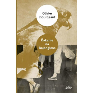 Čakanie na Bojanglesa - Bourdeaut Olivier
