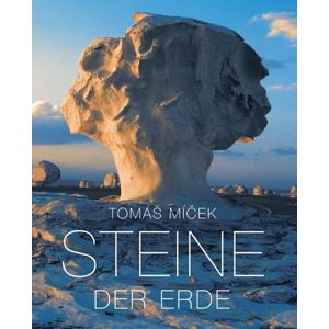 Steine der Erde - Míček Tomáš