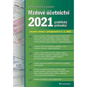 Mzdové účetnictví 2021 - praktický průvodce - Vybíhal Václav