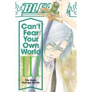Bleach: Can´t Fear Your Own World 3 - Kubo Tite