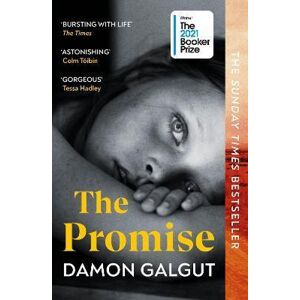 The Promise - Galgut Damon