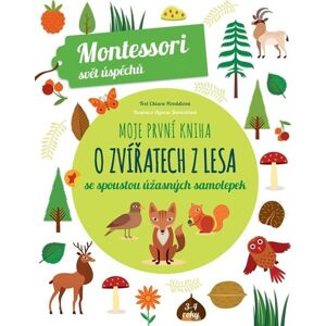 Moje první kniha o zvířatech z lesa (Montessori: Svět úspěchů) - Piroddiová Chiara