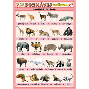 Poznávej zvířata - Exotická zvířata - Kupka Petr a kolektiv