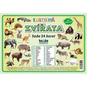 Exotická zvířata - Sada 24 karet - Kupka Petr a kolektiv