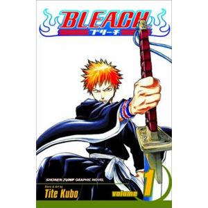Bleach 1: The Death and the Strawberry - Kubo Tite
