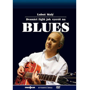 12 fíglů jak vyzrát na blues - Kytarová škola - DVD - Malý Luboš