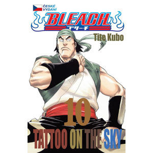 Bleach 10: Tattoo on the Sky - Kubo Tite